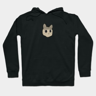 Confused cat Hoodie